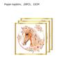 Western Cowboy Horse Racing Theme Birthday Party Decorations: Disposable Plates, Cups, Tablecloth, and Banners for Girls