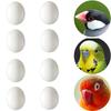 LYHMHAMY Fake Plastic Set of Bird Toys for and Small Breeding Fake Egg Food DIY Gardening Accessories Eggs, Eggs, 8, Parakeets, Budgies, Birds,