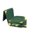 Li Shen Children's Gymnastics Training Mat