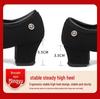 Women's Latin & Ballroom Dance Shoes - Soft Sole, Breathable, Lightweight, Ideal for Teachers, Training & Square Dance.