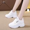 Autumn Mesh New Ins Women's Travel Shoes Sports Shoes Breathable and Versatile To Increase Height and Show Feet Little Dad Shoes