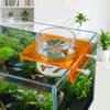 Transparent Fish Tank Feeder Plastic Fish Feeding Basin Aquarium Feeding Bowl  Food Dispensing