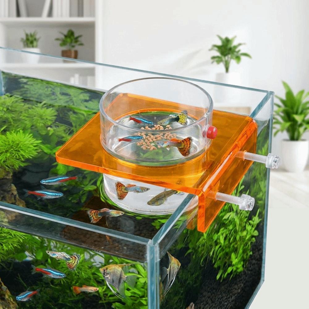 Transparent Fish Tank Feeder Plastic Fish Feeding Basin Aquarium Feeding Bowl  Food Dispensing
