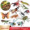 Children's Animal Model Toys: Bee, Spider, Butterfly, Ant, Centipede, Mantis, Beetle, Scorpion, Grasshopper, Dragonfly