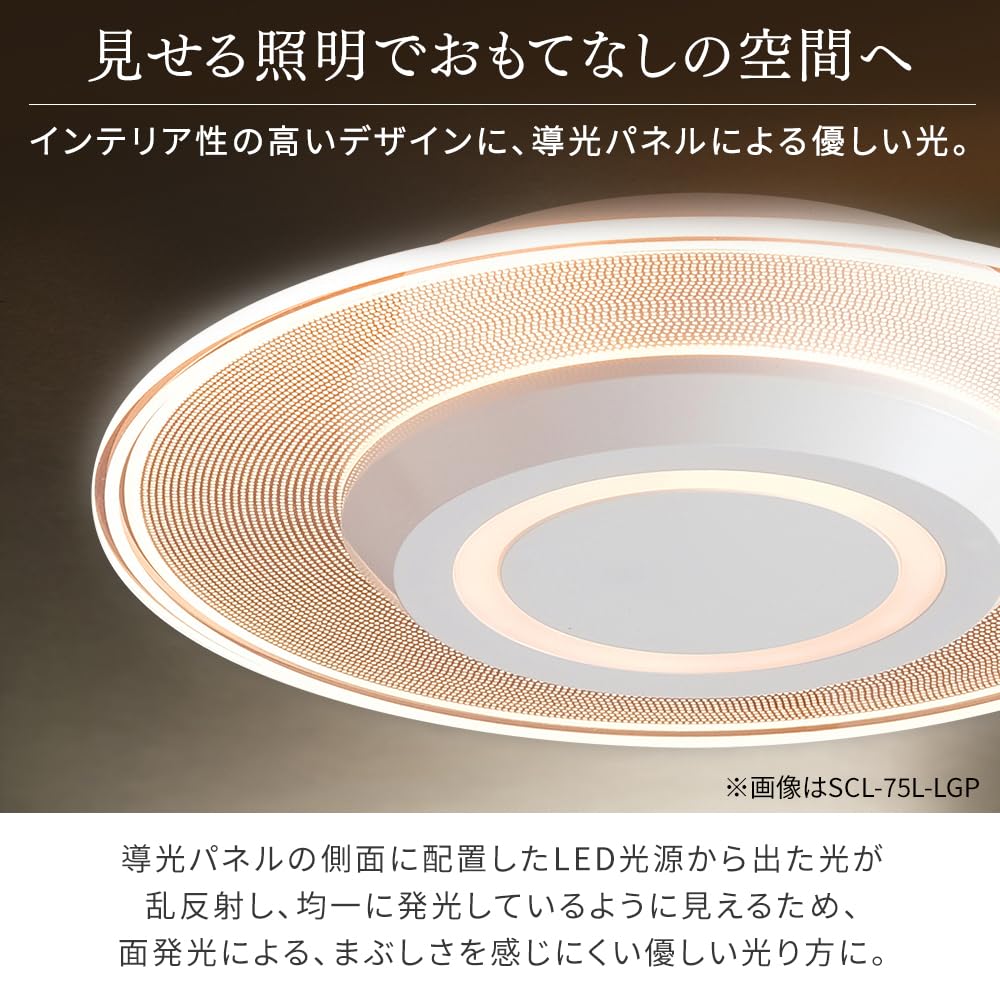 IRIS OHYAMA [Energy-Saving with Motion Sensor, Member of the Japan Lighting Manufacturers Association] IRIS OHYAMA Compact Ceiling Light, Panel