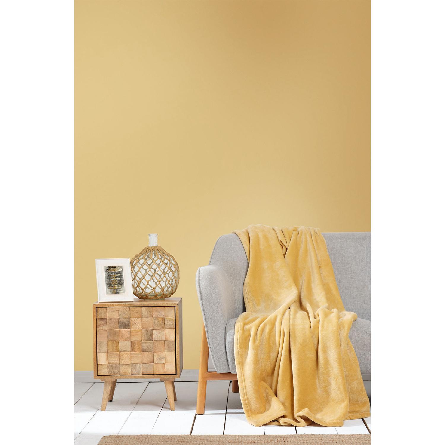 

Одеяло для телевизора Fiona Mustard Welsoft 130 x 170