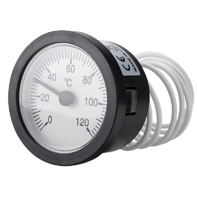 Sensore di temperatura del calibro capillare del termometro 0-120°C