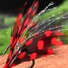 Floating Insect Baits with Hook Bees Fishing Lures Artificial Lure for Perch Fishing Tackle