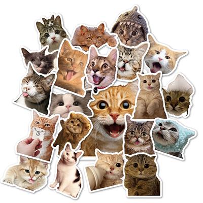 50 Realistische Niedliche Katzenkopf Emoticon Pack Aufkleber Internet Berühmtheit Katze Wasserdicht Graffiti Cartoon Aufkleber Pack