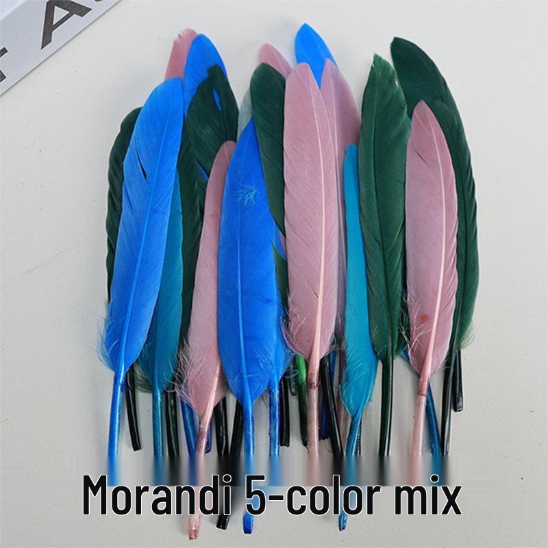 

Красочные окрашенные большие гусиные перья для поделок своими руками, украшений ручной работы и проектов для детского сада