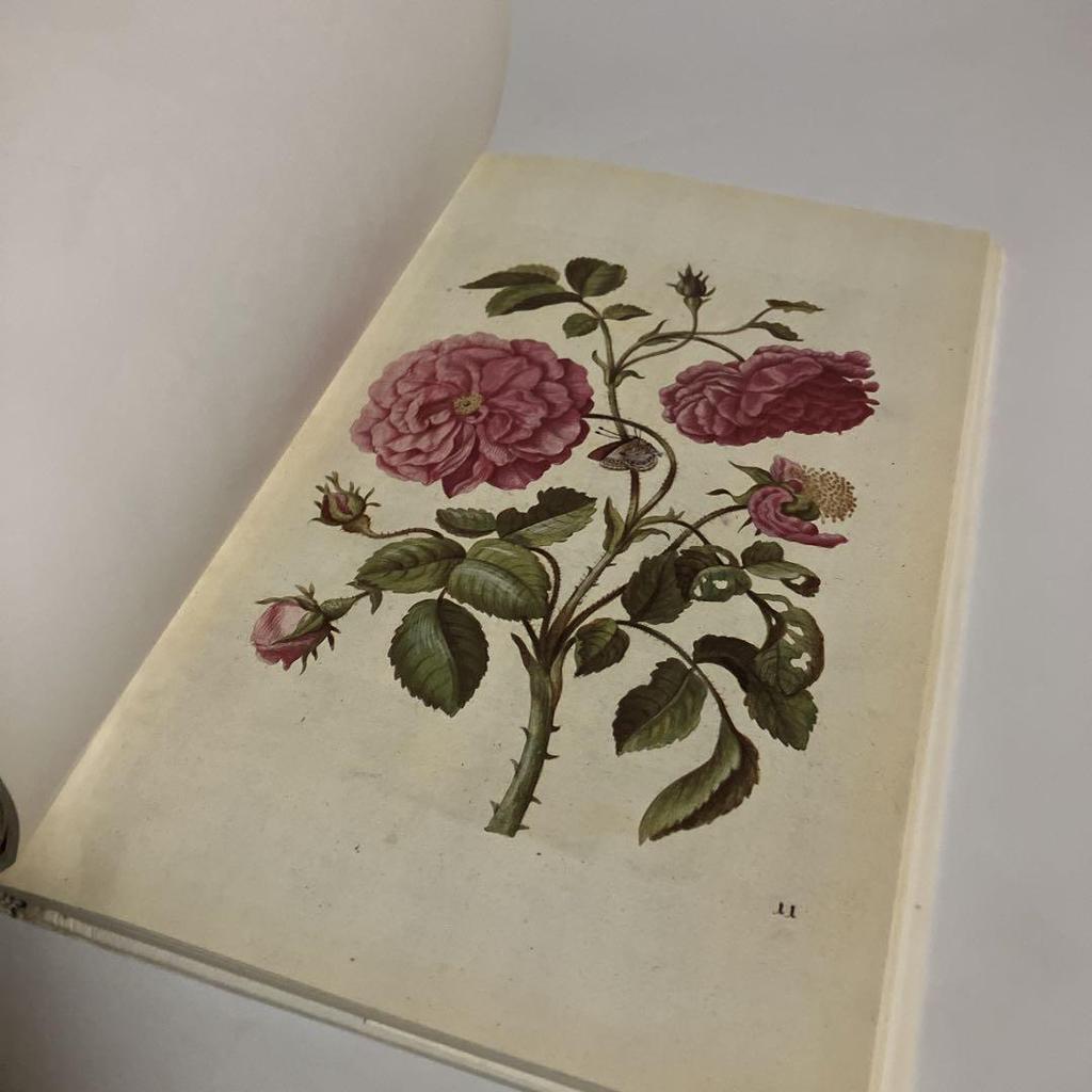 [USED] Collection of Works: Maria Sibylla Merian NEW BOOK OF FLOWERS