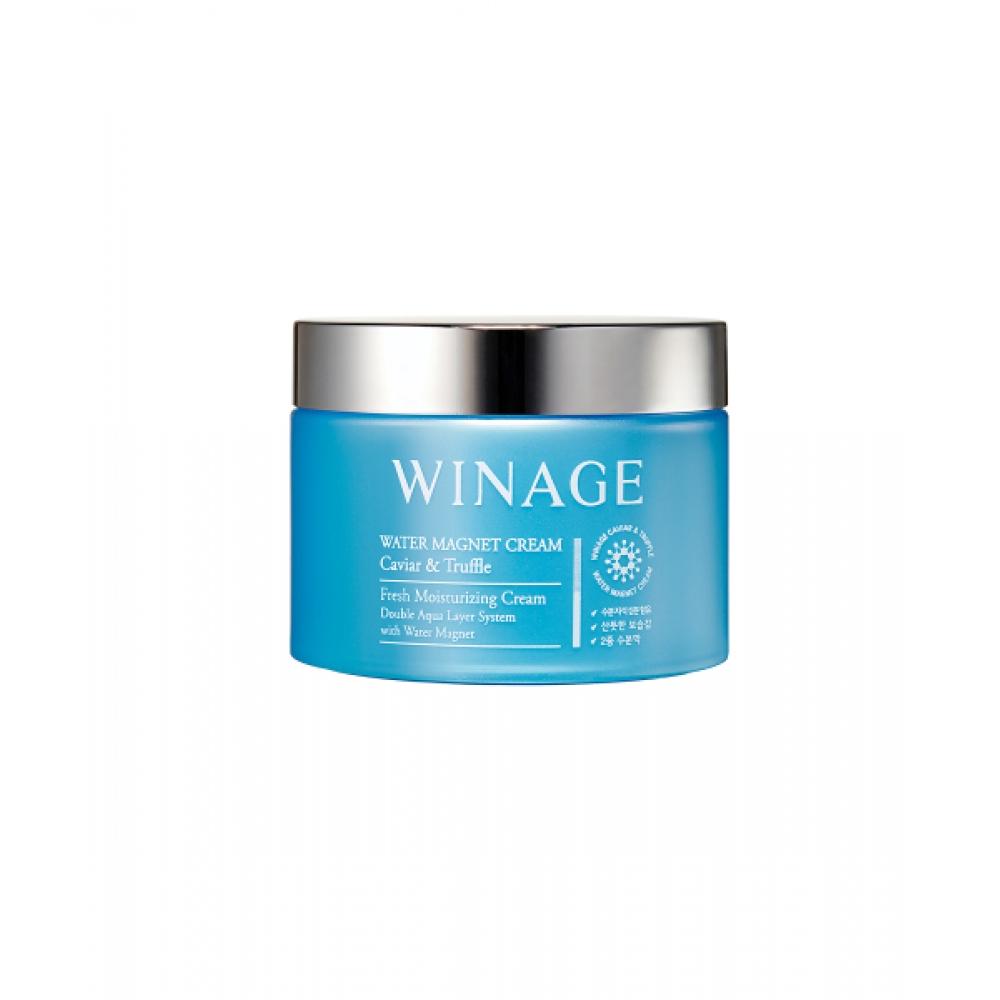 

Coreana Winage Water Magnet Cream 100ml NONE