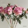 High-Quality Burnt Edge Silk Peony - Artificial Flower for Home Decor & Photography