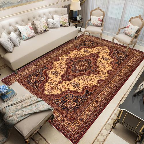 Modern Chinese Living Room Persian Carpet Simple Bedroom Decoration Area Rug Large Porch Door Mat Absorbent Non-slip Bath Mat