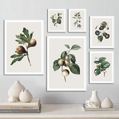 İskandinav Sanat Retro Baskı Çiçek Bitki Yaprak Meyve Tuval Boyama Vintage Botanik Poster Duvar Resmi Modern Ev Odası Dekorasyonu
