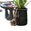 1Pc: Whimsical Monkey Resin Charming Flower Pot Creative Hanging Flower Pot Suitable for Home Balcony Garden Decoration