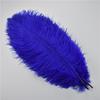 10Pcs 35-40Cm Colorful Ostrich Feathers For Crafts Carnival Decoration Table Centerpieces Plume For Vases Handicraft Accessories