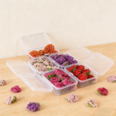 Mini 6 Stück Blumenbüschel Statische Grasbüschel Simulationsmodell Blumen für Diorama Modellbau Landschaftsgestaltung DIY für Kinder Erwachsene Kindergeburtstagsgeschenk