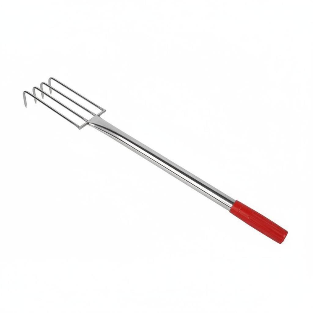 Clamming Rake Stainless Steel Rake Sharp Tines for Beachcombers