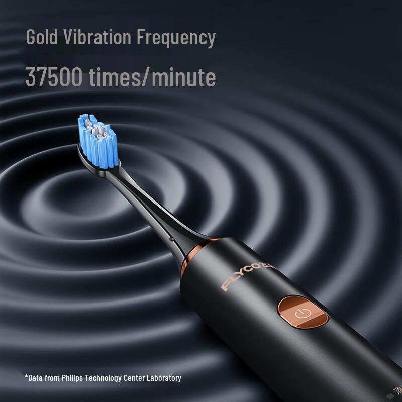 Flyco FT7205 Sonic Electric Toothbrush