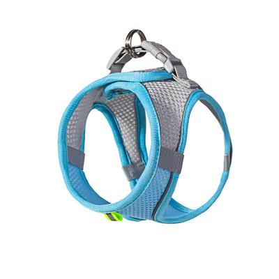 Hunde – Hundehalsbänder & Leinen
