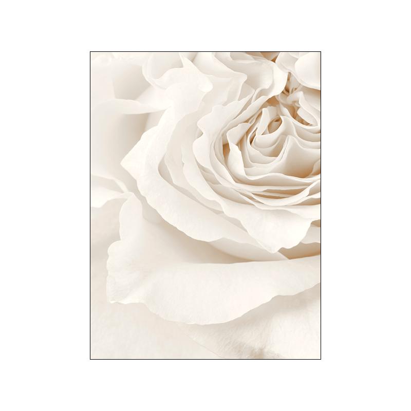 

Белый цветок марокканская дверь настенные художественные картины холст картины бежевые богемные постеры принты для современной гостиной домашний декор 30X40cm No Frame