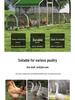 Chicken Walking Tunnel: Ground Cage Extension for Pet Chickens