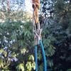 Rope Roller Paracord With Roller Cam Technology,Easy Secure Tie Down For Outdoor, Camping, And Boating Guy Lines
