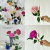 Classic Romantic Rose Handcraft Artificial Flowers For Wedding Party And Home Decoration