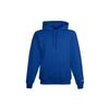 Champion Sweatshirt US Version Unisex Royal Blue (Unisex) Sweatshirts S700 RH