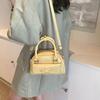 Niche design 2025 new Korean handbag bag women's shell bag shoulder messenger bag fashionable versatile small square bag