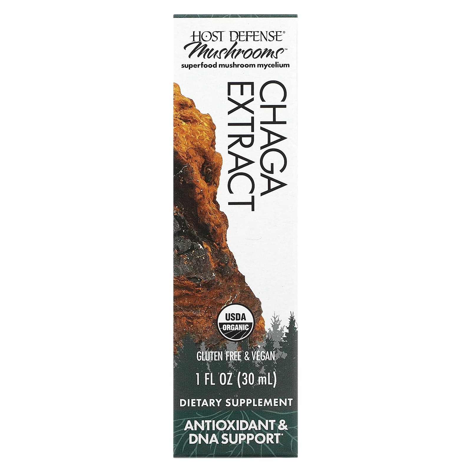 

Mushroom, Organic Chaga Mushroom Extract, 1 fl oz (30 ml)