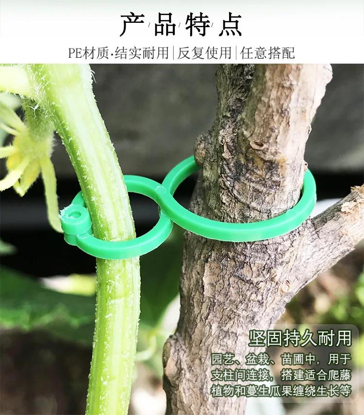 50/100 Garden Vine Strapping Clips Plant Bundled Buckle Ring Holder Tomato Garden Plant Stand Tool Garden Decoration Accessories