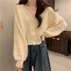 V-neck Knitted Cardigan Women's Autumn and Winter New Loose Lazy Sweater Jacket Chic Small Top Wholesale