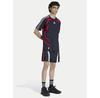 Спортивные шорты adidas adicolor Teamgeist