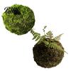 Humidity Maintaining Planter Moss Ball Flower Pot, Natural Green Bonsai Plant Holder, Decorative Spherical Pot for Home, Garden, Wedding Party