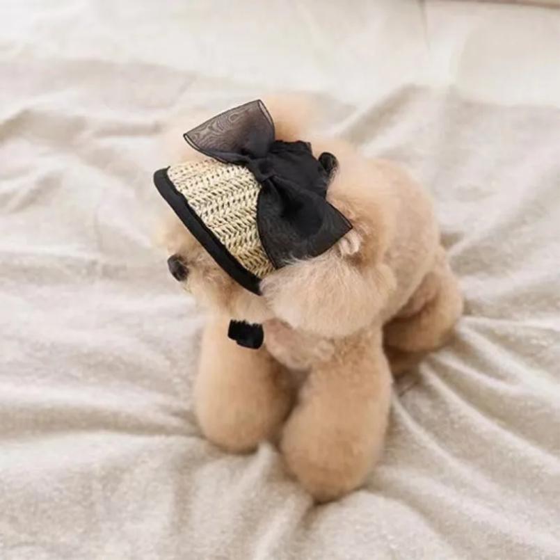 Hat For Dog Woven Small Dog Hats Lace Soft Comfortable Pet Hats Adjustable For Walking Climbing Running Hiking Outdoor