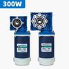 RV30-RV40 DC12V / 24V 300W 9A DC Gear Motor Worm Gear Gearbox High Torque Gear Motor 1800r/min