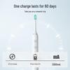 Superman RT860 Rechargeable Sonic Electric Toothbrush CN plug (adapter included)