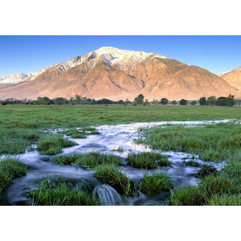 California Scenery Poster: Free Shipping in USA - Ideal for Dorm, Bedroom, Living Room, Bar, or Cafe Decor