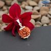 PTM 4 Mukhi Rudraksha Pendant | Char Mukhi/Four Face Original Nepali Beads 925 Bis Hallmark Sterling Silver Cap with Lab Tested Certificate | Cer