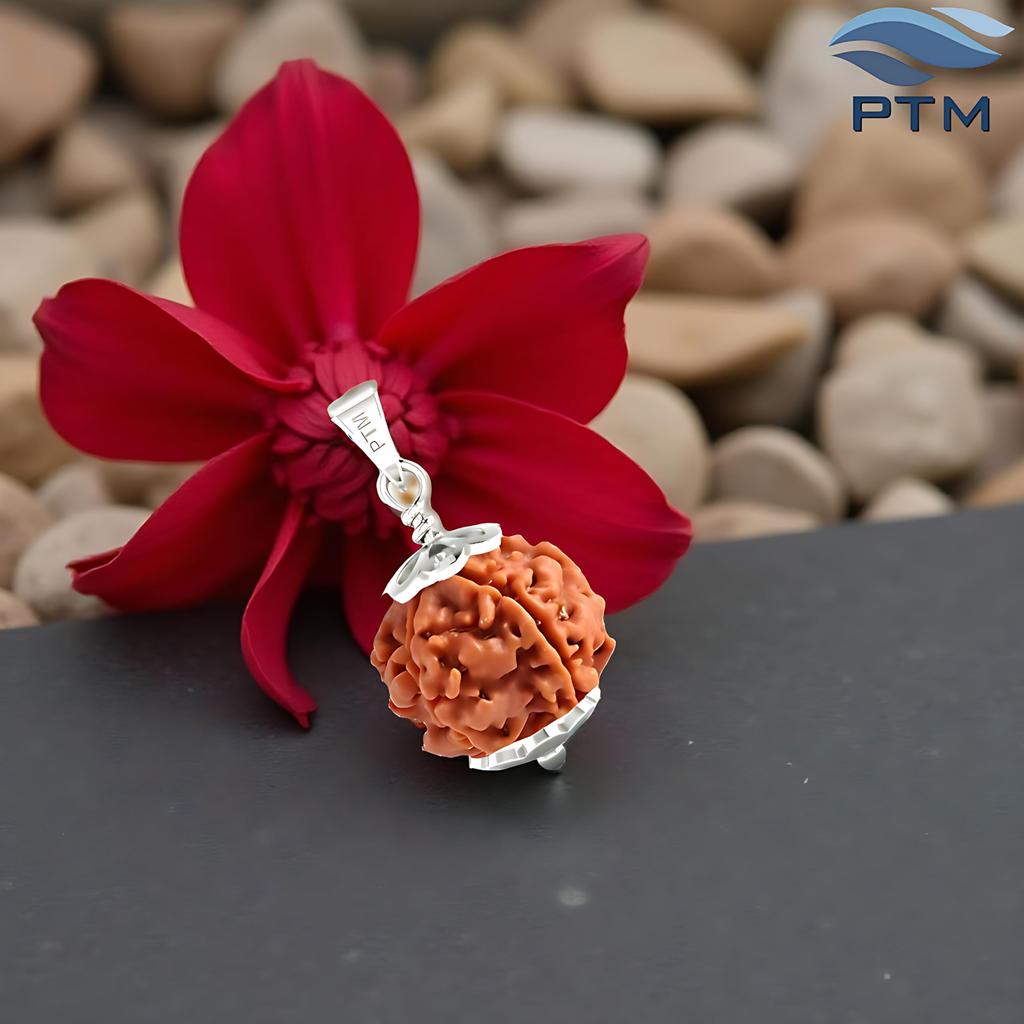 PTM 4 Mukhi Rudraksha Pendant | Char Mukhi/Four Face Original Nepali Beads 925 Bis Hallmark Sterling Silver Cap with Lab Tested Certificate | Cer