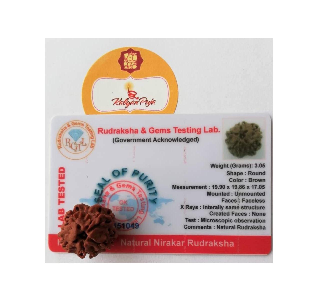 Рудракша сертифицированная (0 мукхи), Faceless Rudraksha (Nirankar), Kalyan Puja