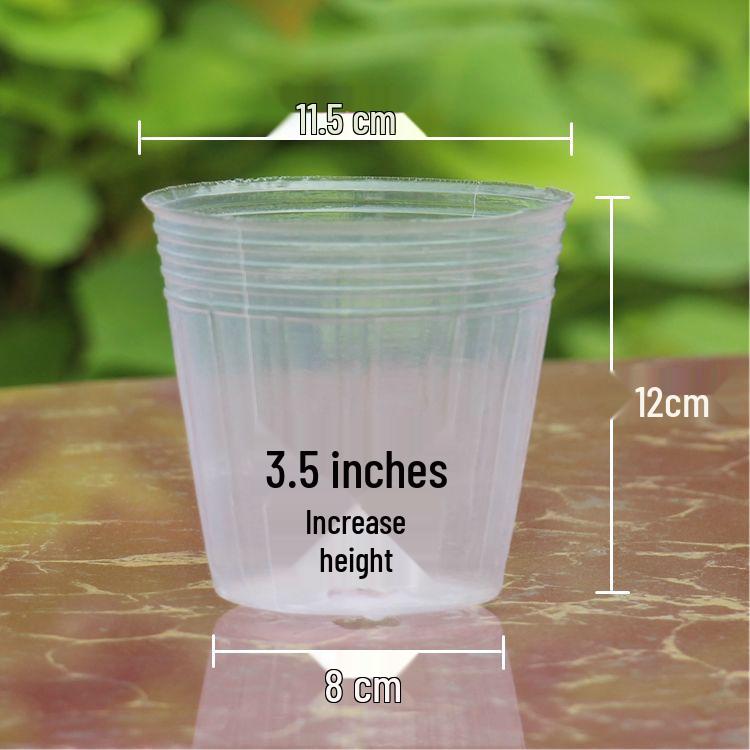 Translucent Plastic Phalaenopsis Planting Pots – 2.5", 3.5", 4" Sizes