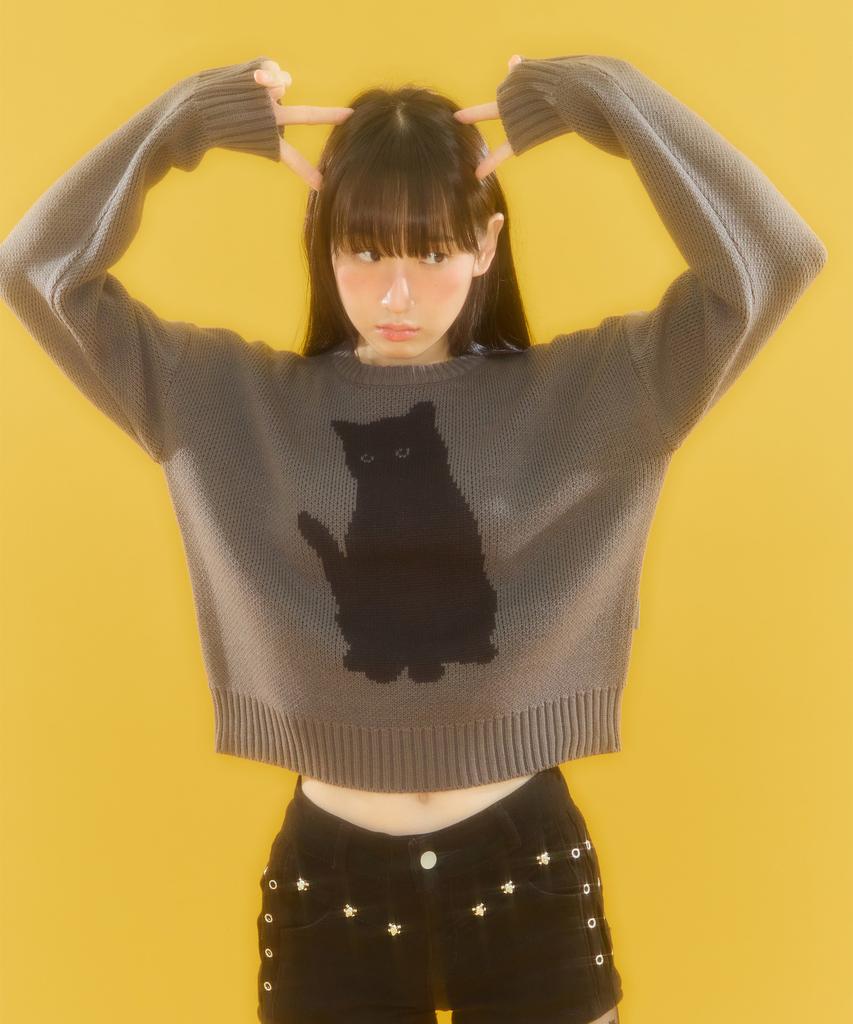 VIDEO JOCKEY Black Cat Knit Sweater [4 Colors]
