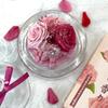 NICHIFLRO Preserved Flower Gift, Rose-Scented Incense, Mother's Day Gift, Long-Lasting Flowers, Made in Japan, Mini Glass Dome Incense Set (Rose)