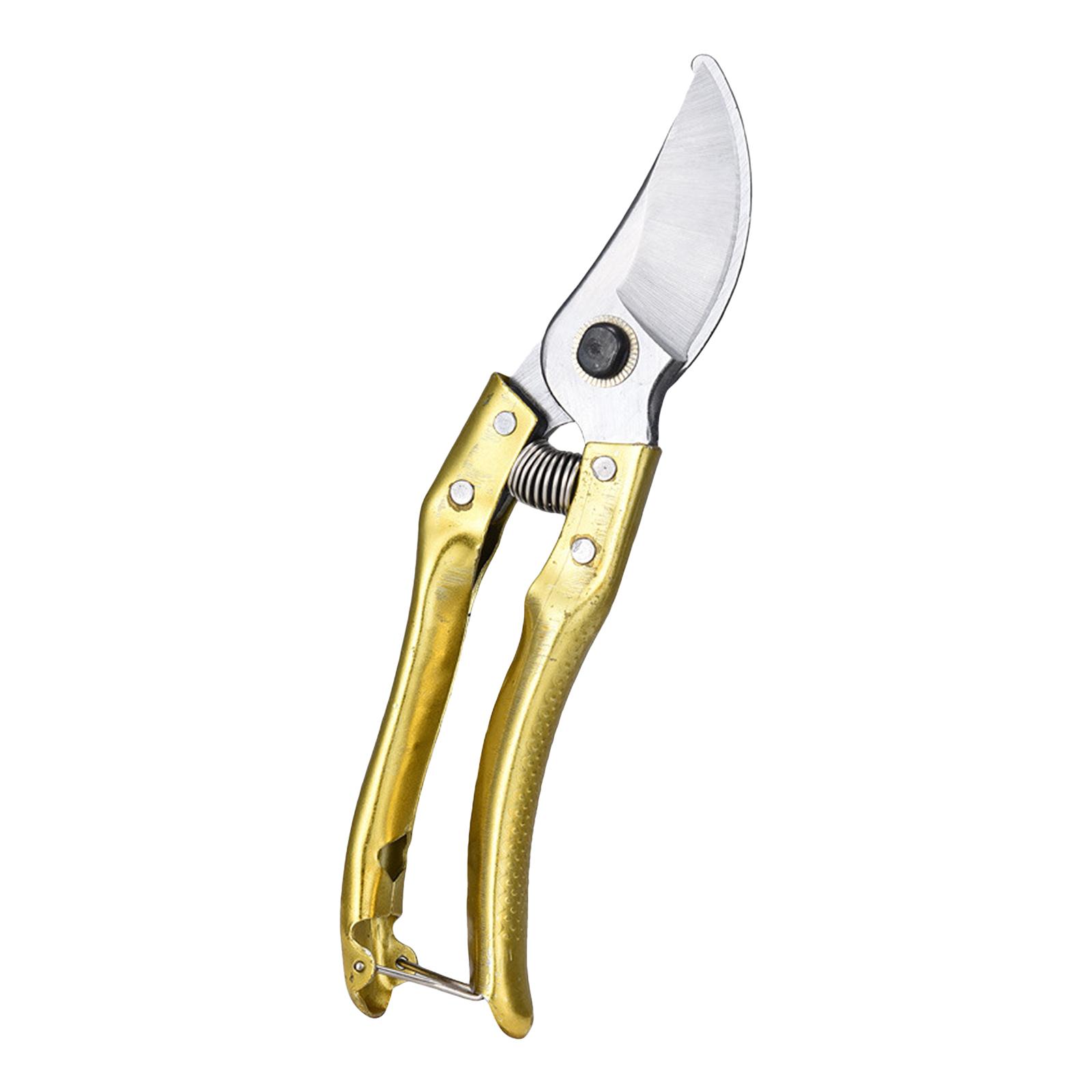 

Секаторы Стальные ножницы для обрезки с эргономичными ручками Садовые ножницы для обрезки бонсай золотой