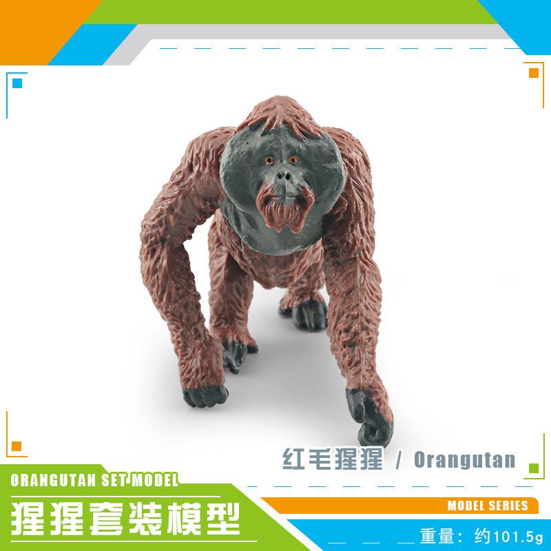 Lifelike Pvc Orangutan Model Collection With Detailed Features For Unique Desk Decor