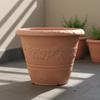 Verdickter Pflanztopf Großer Dekorativer Blumentopf Vielseitig Geprägt für Balkon, Garten, Außenbereich