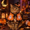 Kedi – Kediler için giyim